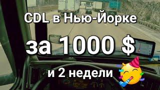 CDL права за 1000$ в Нью-Йорке! США.