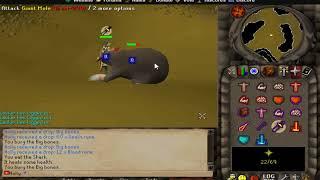 RuneAncient New Rsps Giant Mole Bossing