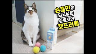 고양이는 공을 좋아해. 캣드리볼 언박싱 The cat likes a ball/토토네토스트