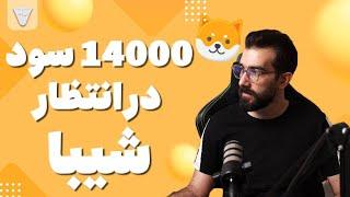 تحلیل کوین شیبا 14000 سود در انتظار شیبا تحلیل کوین شیبا