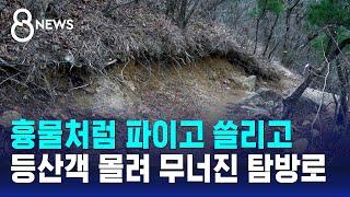 흉물처럼 파이고 쓸리고…등산객 몰려 무너진 탐방로 / SBS 8뉴스