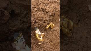 Great Treasures Found With Metal Detector #treasuresearching #shortsvideo #findgold #adventure