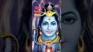 Om namah shivaya  हर हर महादेव#shorts #shortvideo #shiv