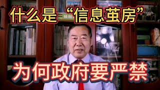 什么是“信息茧房”，为何政府要严禁