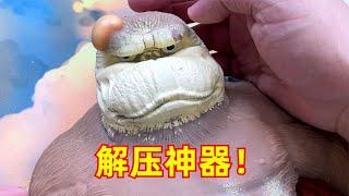 这“解压神器”确定不是来搞笑的吗【开箱小钻风】