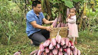 FULL VIDEO:Harvest grapefruit, squash, vegetable, banana flowers goes to the market sell-Farm life