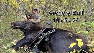 Alberta Archery Bull Moose!