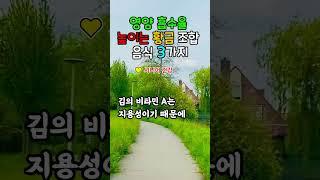 영양 흡수를 높이는 음식 조합 3가지  시니어를 위한 건강 식단  #시니어건강 #토마토올리브유 #현미두부 #김참기름 #영양흡수 #건강식단 #9988건강정보