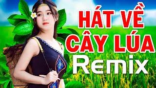 HÁT VỀ CÂY LÚA HÔM NAY REMIX - Mở Hết Cỡ LK NHẠC ĐỎ CÁCH MẠNG Tiền Chiến DJ REMIX Bass Căng Vỡ Loa