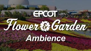 Epcot Flower and Garden Festival Ambience | Disney World Epcot Ambience Scenescape