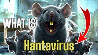 Gene Hackman's Wife Died From Hantavirus! What is it?