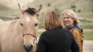 equine facilitated learning    upper canyon outfitters    alder, mt