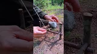 TRAP THE BEAST IF YOU GET LOST IN THE FOREST  #survival #trap #bushcraft #hunting