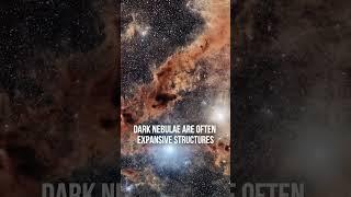 Cosmic Shadows: The Hidden Beauty of Dark Nebulae  #astronomy #shorts