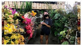 Tour Around An Entire Plant Market