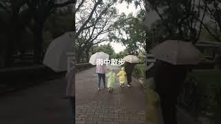 大手牽小手雨中行