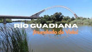 Vida: orillas del río Guadiana, a su paso por la ciudad de #Mérida (#Extremadura, #España). Spain.