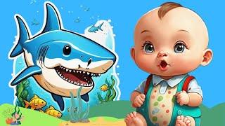 Shark Song  | Sharky  the Shark  | Kidsjourney Nursery Rhymes & Kids Song