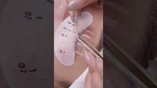 Relaxing Lash Process  | #lashextensions #asmr