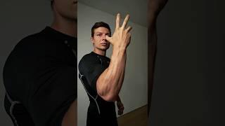 Forearms Workout 