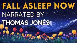 A Very SOOTHING Story  A Sleepy Journey to Welsh South America - FALL ASLEEP FAST