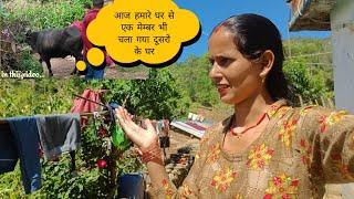 हमारे घर से एक मेम्बर चला गया दूसरो के घर Anita bagiyal vlogs pahadi Lifestyle vlogs