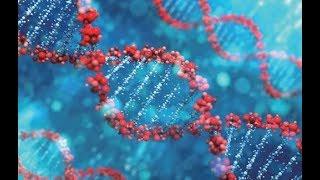 [무신론] 창조좀비를 위한 진화원리 설명 (Evolution Principle explained for Creationists)