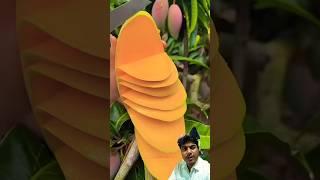 Enjoy Beautiful Nature Life#shorts
