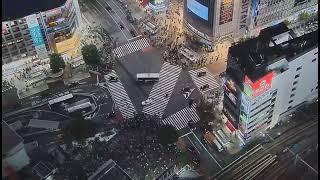 3 Live Cameras That Catches The Lowrider Car Crash In Shibuya City Scramble Crossing