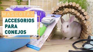 Accesorios para tu conejo | Mascotas en VERDECORA