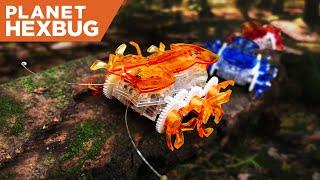 Planet HEXBUG - Episode 8: The Fire Ant