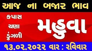 commodity price 13.02.2022 mahuva marketing yard na bhav | saurashtra ajna bajar bhav|commodity rate