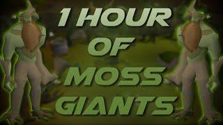 Slaying Moss Giants | Testing OSRS Wiki Money Making Methods