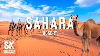 Sahara Desert 8K UHD – Journey To Discover The Largest Desert On The Planet