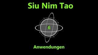 Wing Chun BASICS 1.6: Siu Nim Tao Satz 6. Streuende Hände