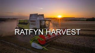 Ratfyn Harvest