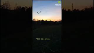 Что за звуки?