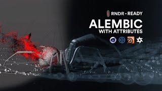 Alembic with Particles, Attributes & Dynamics | RNDR Network