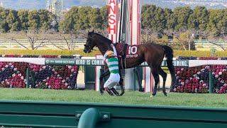 【エフフォーリア　心房細動で競走中止】ゴール前ですぐさま下馬した横山武史騎手　　　京都記念2023 #エフフォーリア　#横山武史  #京都記念2023