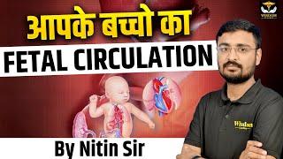 आपके बच्चे का FETAL CIRCULATION | भ्रूण परिसंचरण | FETAL CIRCULATION EASY EXPLANATION BY NITIN SIR