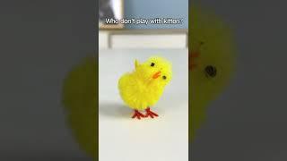 Who's The Most Different Of The Chicks?#oscarfunnyworld #funnycat #shorts