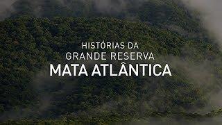 Histórias da Grande Reserva Mata Atlântica | Trailer Oficial