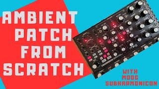 Ambient music patch from scratch with the Moog Subharmonicon