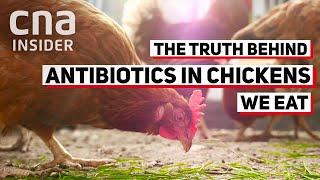 Is It Safe To Eat Chicken Reared With Antibiotics?