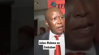 Julius Malema urging Zimbabweans to fight for their country #africa #politics #history #eff