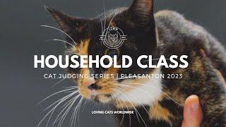 Cat Judging: Household Class Final from Portland 2023