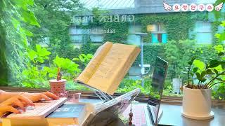 #250620[요정연구소] 스터디윗미/ 세시생/ CTA/ 세무사/ 고시생/ 스윗미/ LIVE/ ASMR