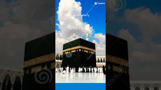 ayat#video#muslim# creator