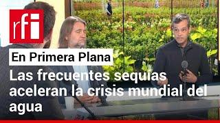 Las frecuentes sequías aceleran la crisis mundial del agua • RFI Español