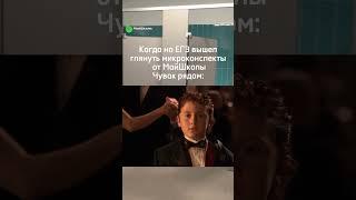 Подробнее о микроконспектах (шпорах) в моем тг по ссылке в шапке. Цена 990р #биология #егэ2025